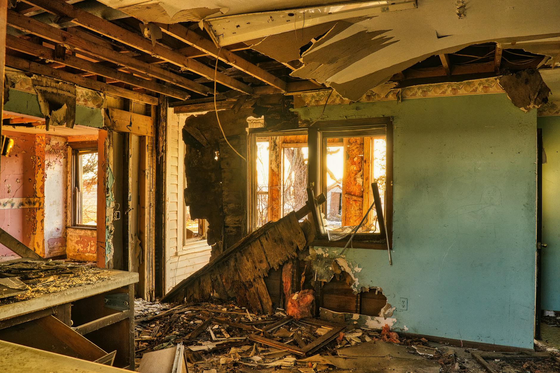 Mold Removal Mold Gallery Jacksonville